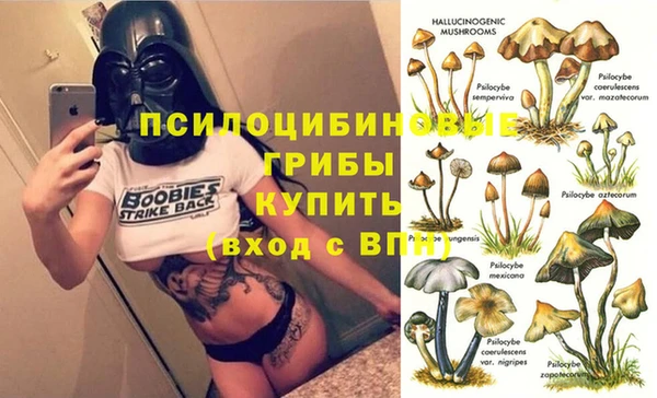 COCAINE Богородск