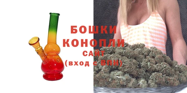 сатива Тихвин