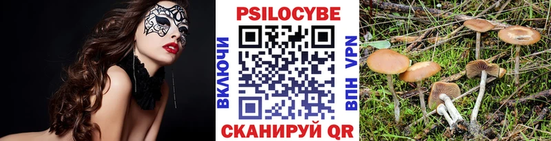 Галлюциногенные грибы MAGIC MUSHROOMS  Светлогорск 